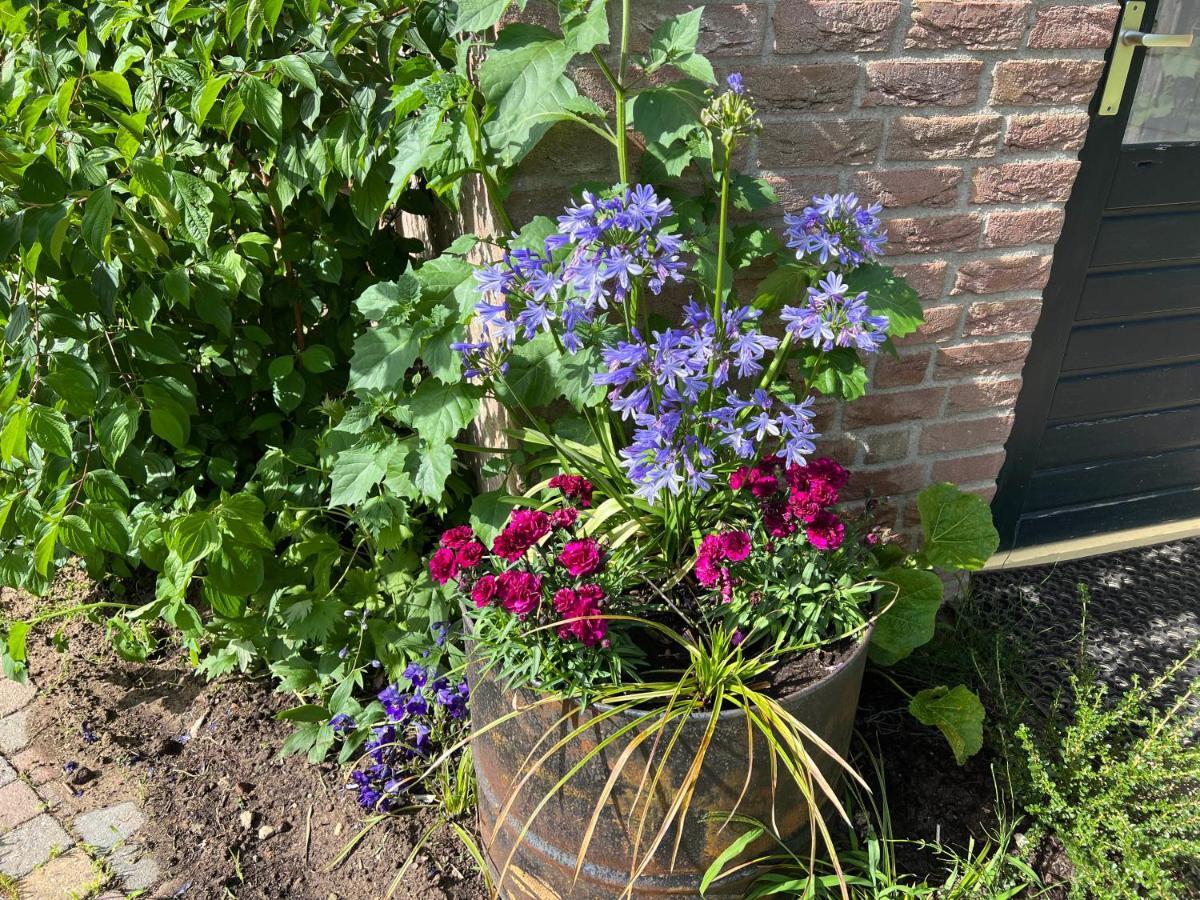 Supergezellig Vakantiehuis Met Hele Grote Tuin Bij Nijmegen Ewijk Esterno foto
